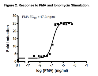 IL-2 Luciferase Reporter Jurkat Cell Line