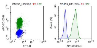 CD155 (PVR) - HEK293 Recombinant Cell Line