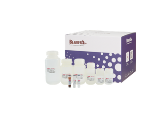 BeaverBeads Stool DNA Kit
