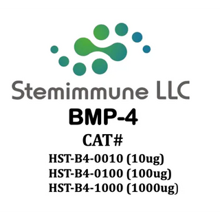 Recombinant Human BMP-4 Protein