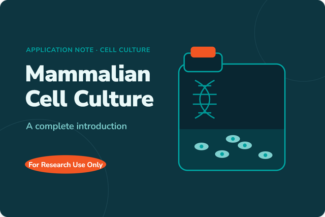 Mammalian Cell Culture: A Complete Introduction