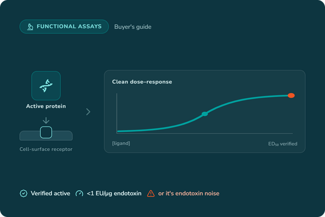 Low-Endotoxin, Bioactive Recombinant Protein: A Buyer's Guide for Functional Assays
