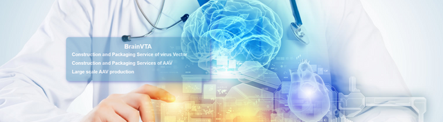 Adeno-Associated Virus (AAV)