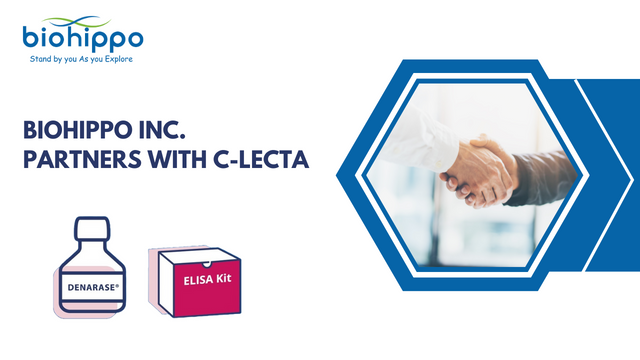 Biohippo Inc. Partners with c-LEcta: Elevating the DENARASE® Supply Chain in the USA