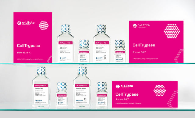 CellTrypase Cell Dissociation Protocol, Animal-Free Trypsin / TrypLE™ Alternative