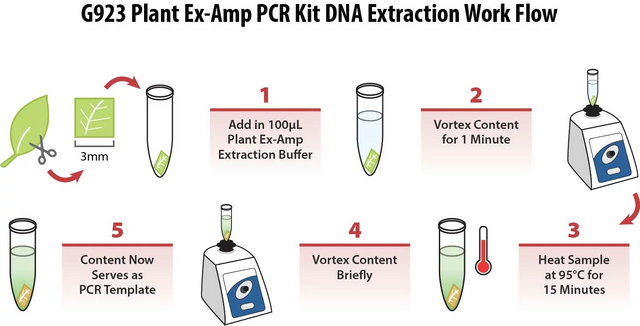 Plant Ex-Amp PCR Kit (with Kodaq MasterMix)