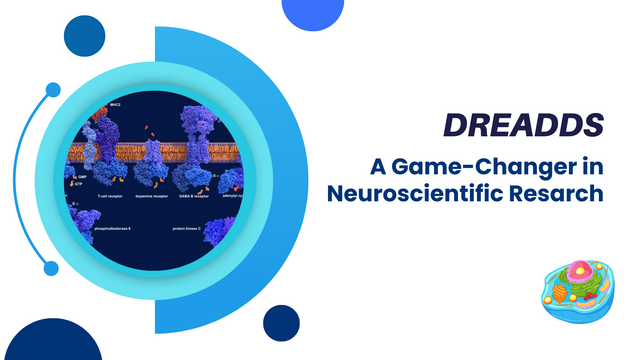 The Potential of DREADDs: A Game-Changer in Neuroscientific Research