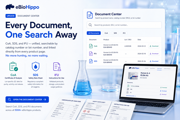 Every Document, One Search Away