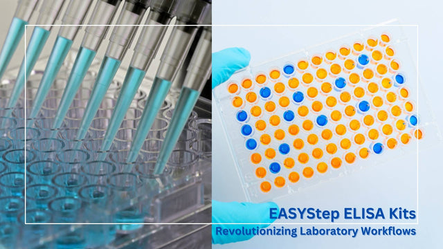 Revolutionizing Laboratory Workflows: EASYStep ELISA Kits