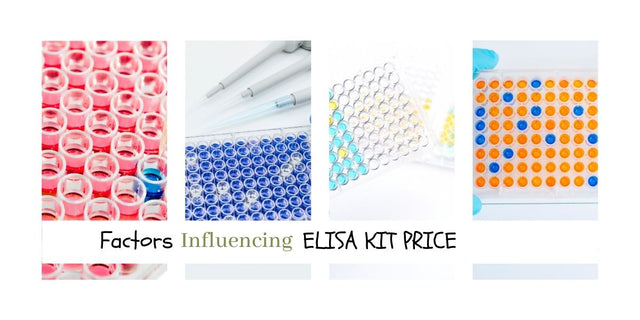 How Much Does an ELISA Kit Cost?