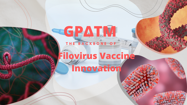 Decoding GPΔTM: A Molecular Key to Ebola and Marburg Virus Vaccine Innovation