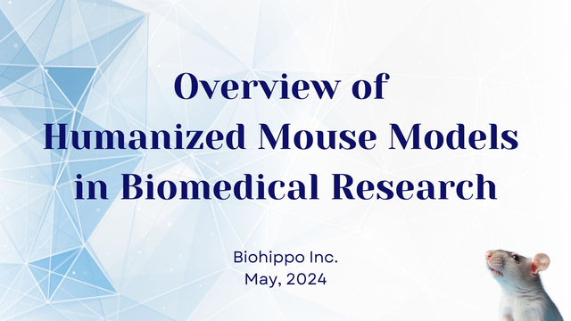 Humanized Mouse Models: Types, Applications, and Key Limitations