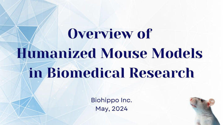 Exploring Humanized Mouse Models: A Bridge Between Bench and Bedside
