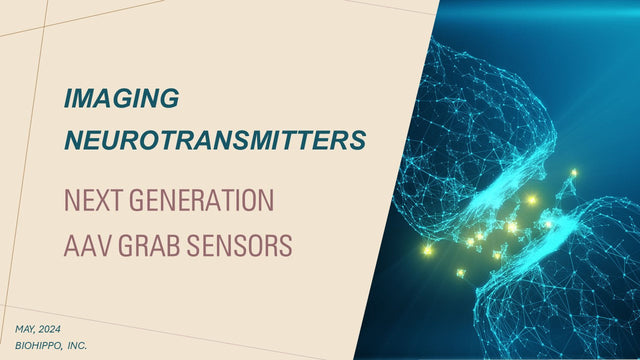 GRAB Sensor Neurotransmitter Imaging: The Complete AAV Guide