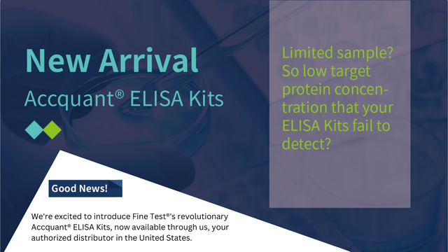 Introducing Accquant® ELISA Kits: Less Sample, Higher Sensitivity.