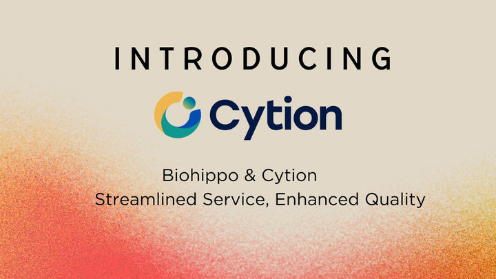 Biohippo & Cytion - Streamlined Service, Enhanced Quality