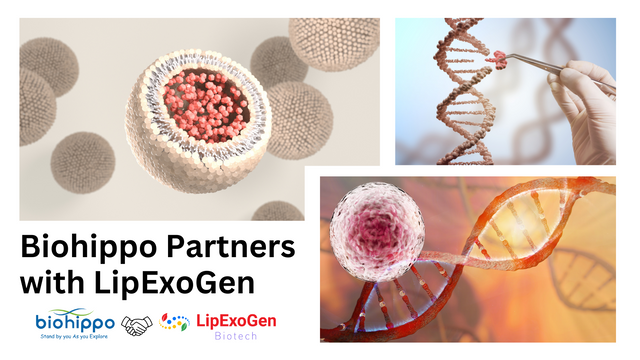 Biohippo Partners with LipExoGen: Enhancing Research Through Collaboration.
