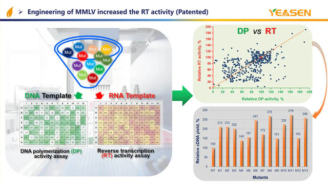 A Remarkable Breakthrough in Strand-specific RNA Library Preparation