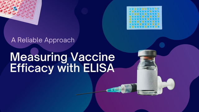 Measuring Vaccine Efficacy with ELISA: A Reliable Approach