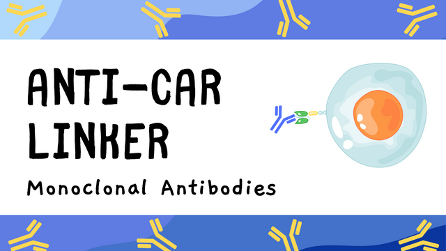 Anti-CAR Linker Antibody - Efficient Universal CAR Detection Reagent