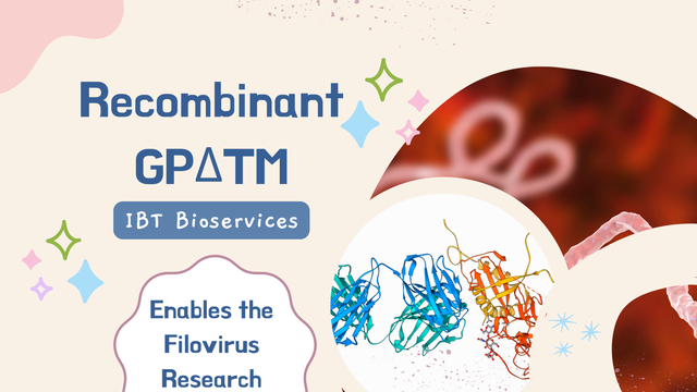 Recombinant GPΔTM: The Backbone of Filovirus Vaccine Innovation—Powered by IBT Bioservices