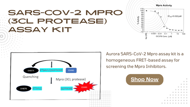 SARS-CoV-2 Mpro Assay Kit: A Key Tool for Evaluating Inhibitors and Understanding Mutations