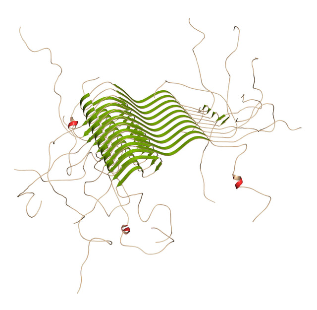 Alpha-Synuclein (SNCA): Structure, Aggregation, Biomarkers, and Therapy