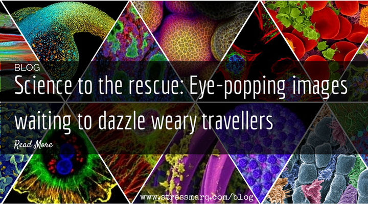 Science to the rescue: Eye-popping images waiting to dazzle weary travellers