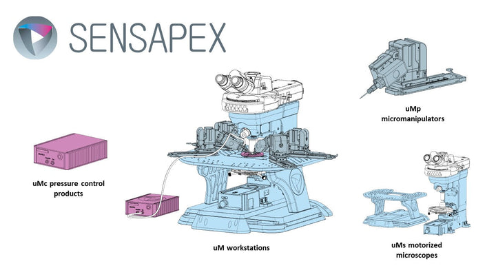 Welcome Sensapex on Board