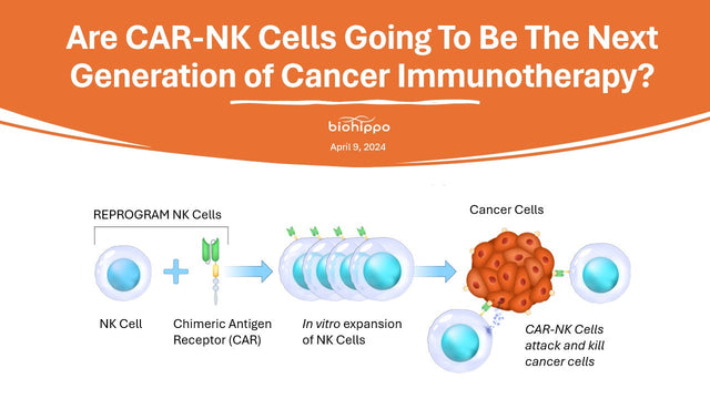 Are CAR-NK Cells Going to be the Next Generation of Cancer Immunotherapy?