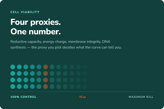 Cell Viability Assay Types: What Each Measures and When to Use It
