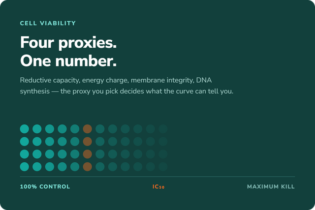 Cell Viability Assay Types: What Each Measures and When to Use It