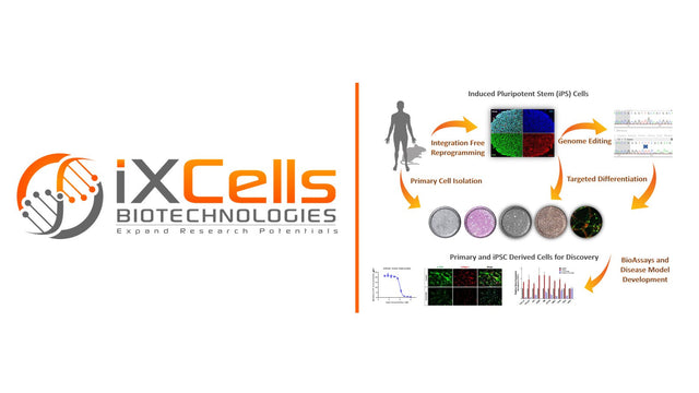 Welcome iXcells Biotechnologies on Board
