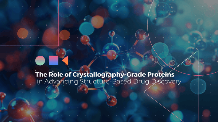 The Role of Crystallography-Grade Proteins in Advancing Structure-Based Drug Discovery