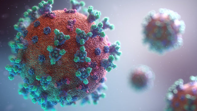 AAV Gene Delivery: A Beginner's Complete Guide
