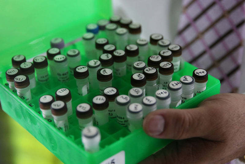 Choosing Antibodies for Multiplex and Spatial Imaging Panels