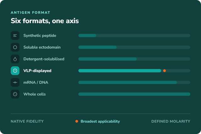 Choosing an Antigen for Membrane Protein Antibody Discovery