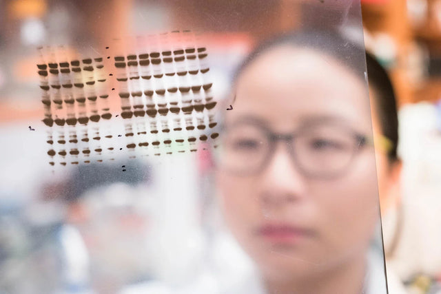 Phospho Western Blot: Complete Protocol & Troubleshooting Guide