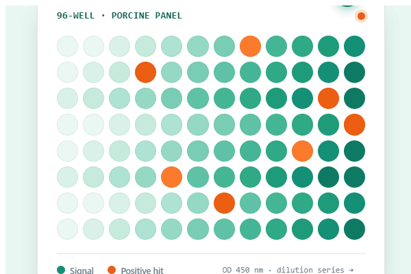 What porcine teams are measuring now (and why)