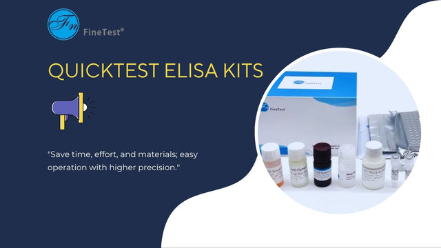 FineTest QuickTest ELISA Kits