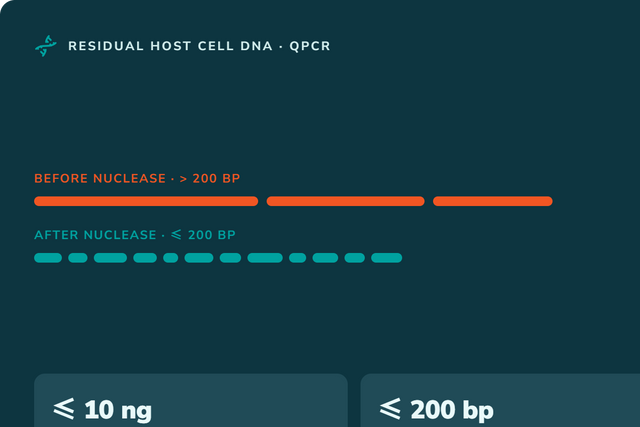 Residual Host Cell DNA Testing by qPCR: Method and Kit Selection Guide