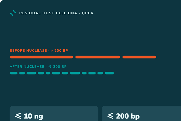 Residual Host Cell DNA Testing by qPCR: Method and Kit Selection Guide