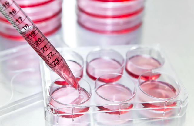 Suspension Cell Culture: Passaging, Density & Differentiation Guide