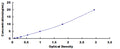 Human X-Linked Inhibitor Of Apoptosis Protein (XIAP) ELISA Kit — standard curve, 0.312–20 ng/mL