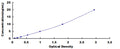 Human Dipeptidyl Peptidase 10 (DPP10) ELISA Kit – Figure 1 of 1