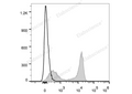 PE/Cyanine5.5 Anti-Human CD27 Antibody[O323] – Figure 1 of 2