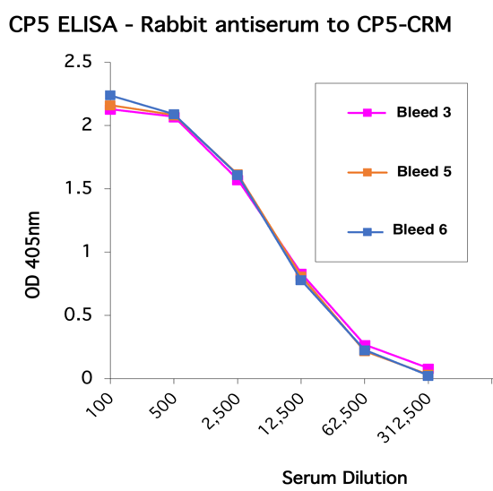 Rabbit antiserum to CP5-CRM - Figure 1 of 1