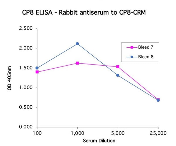 Rabbit antiserum to CP8-CRM - Figure 1 of 1