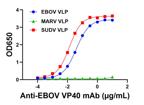 Mouse anti-EBOV VP40 mAb (AE11) - Figure 1 of 1