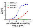 Mouse anti-EBOV GP mAb (13C6) - Figure 1 of 1